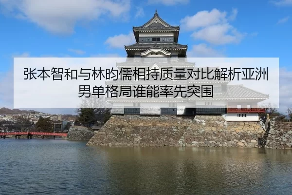 张本智和与林昀儒相持质量对比解析亚洲男单格局谁能率先突围