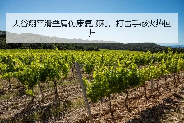 大谷翔平滑垒肩伤康复顺利，打击手感火热回归
