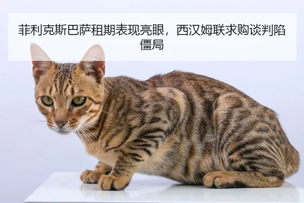 菲利克斯巴萨租期表现亮眼，西汉姆联求购谈判陷僵局