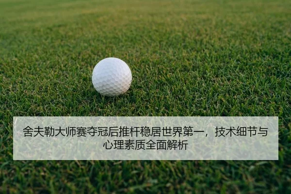 she-fu-lei-da-shi-sai-duo-guan-hou-tui-gan-wen-ju-shi-jie-di-yi-ji-shu-xi-jie-yu-xin-li-su-zhi-quan-mian-jie-xi-2-137.jpg