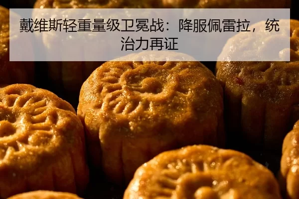 戴维斯轻重量级卫冕战：降服佩雷拉，统治力再证